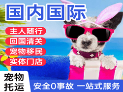 合肥机场快递国际宠物托运 【国